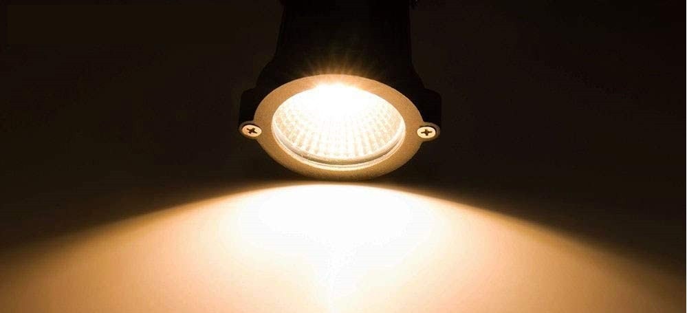 Spike Philips Light (White Light)