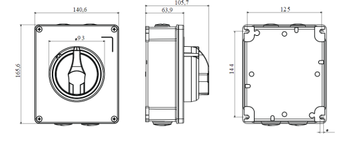 مفتاح فصل جويس للطوارئ خارج 40 أمبير IP66 - معدن - Image 2