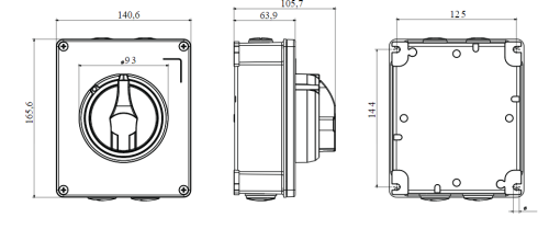 مفتاح فصل جويس للطوارئ خارج 32 أمبير IP66 - معدن - Image 2