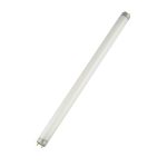 Fluorescent Led Cold White