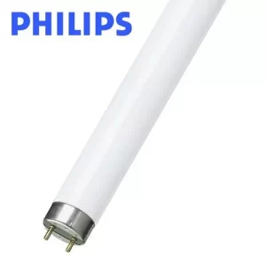 Neon Philips Ice White