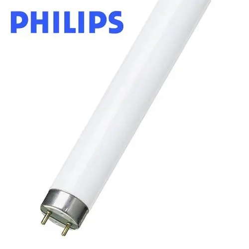 Neon Philips Ice White