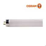 osram lamp morning light 1
