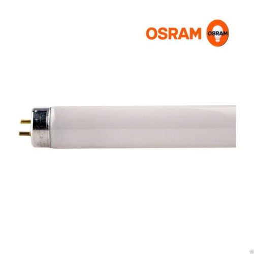 Osram Lamp Morning Light