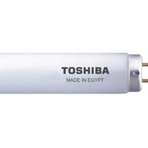 Toshiba Lamp Morning Light