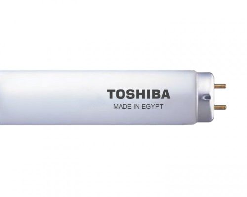Toshiba Lamp Morning Light