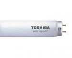 toshiba lamp morning light 2