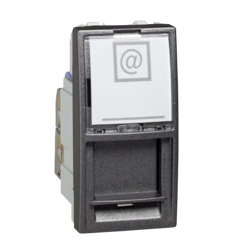 بريزة شنايدر داتا CAT6 - رمادي