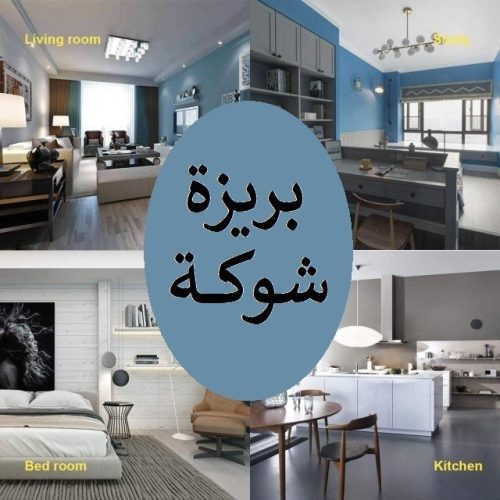 بريزة شوكة أوميجا بالارضي وغطاء أمان