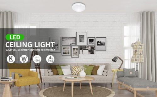 بلوفونيرة فيليبس