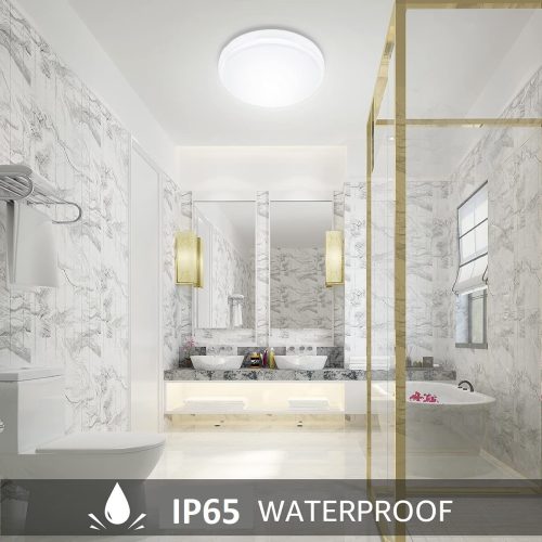 بلوفونيرة فيليبس